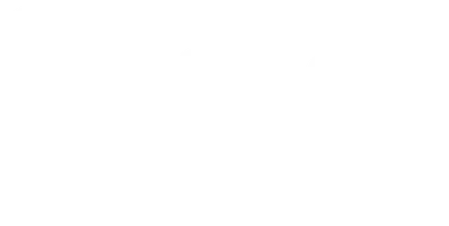 mt-title