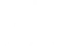 Alam