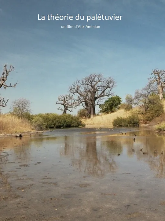 La théorie du palétuvier