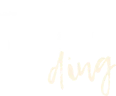 The Thing with Feathers