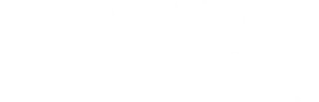 mt-title