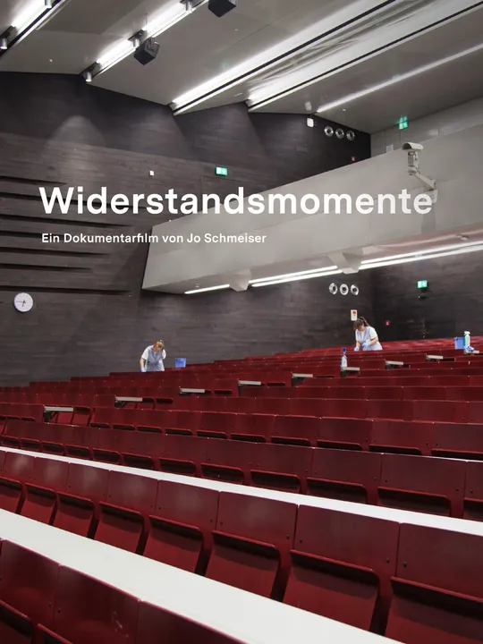 Widerstandsmomente