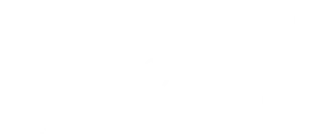 mt-title
