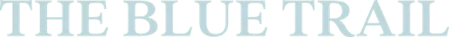 mt-title
