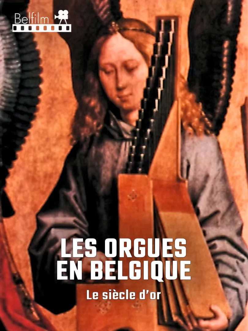 Les orgues en Belgique: le siècle d'or