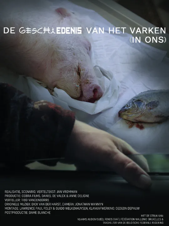 De geschiedenis van het varken (in ons)