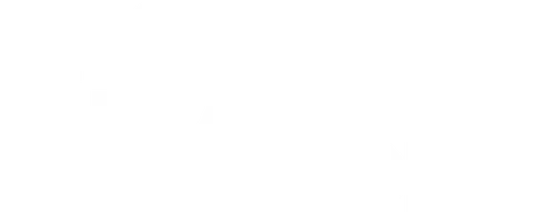 mt-title