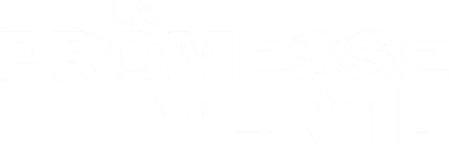 mt-title