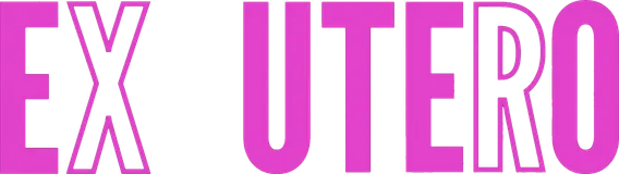 mt-title