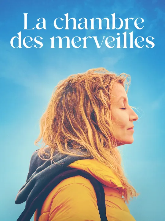 La chambre des merveilles