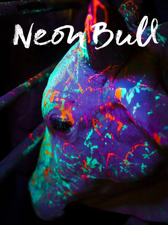 Boi neon