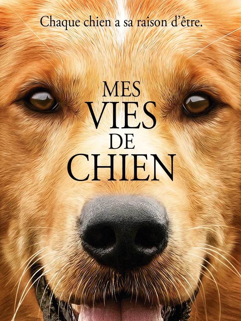 Mes vies de chien