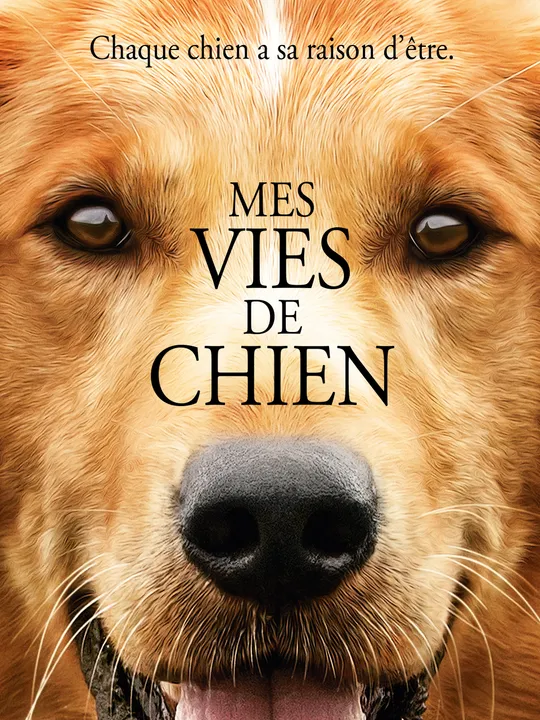 Mes vies de chien