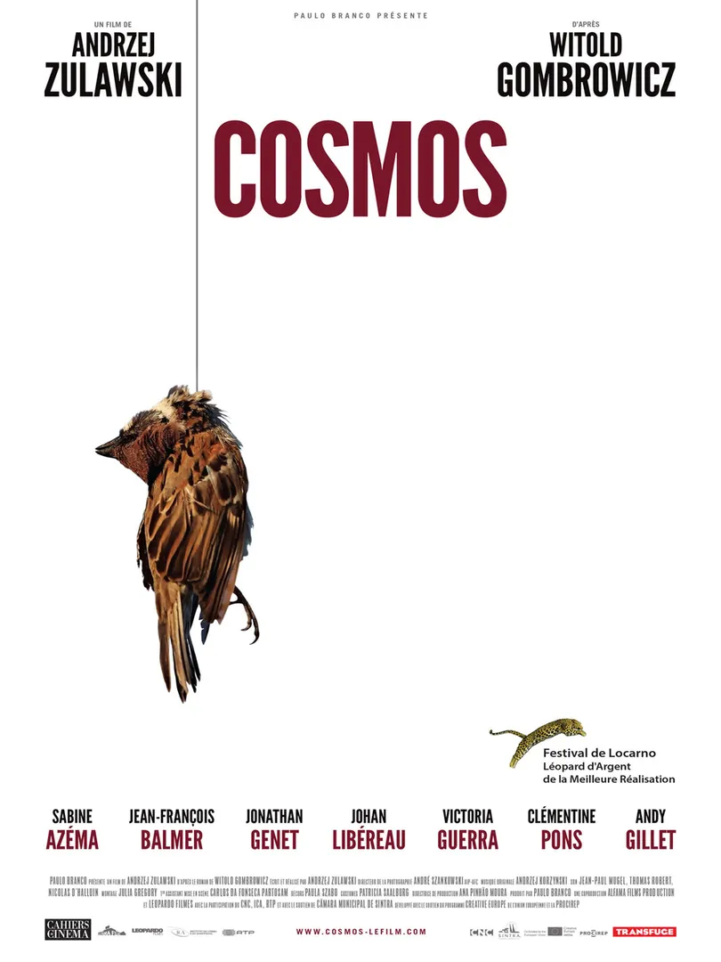 Cosmos