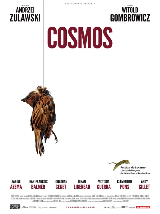Cosmos