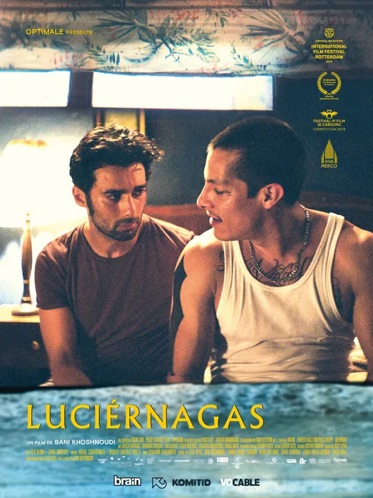 Luciérnagas