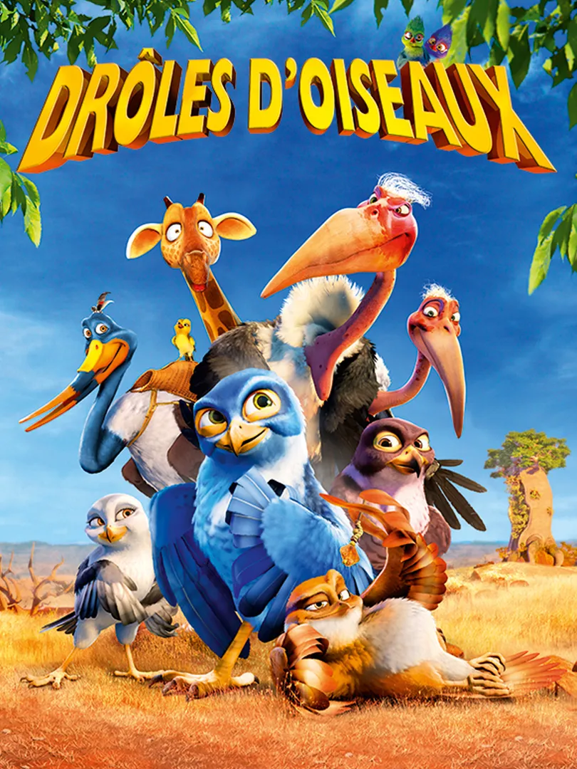 Drôles d’oiseaux