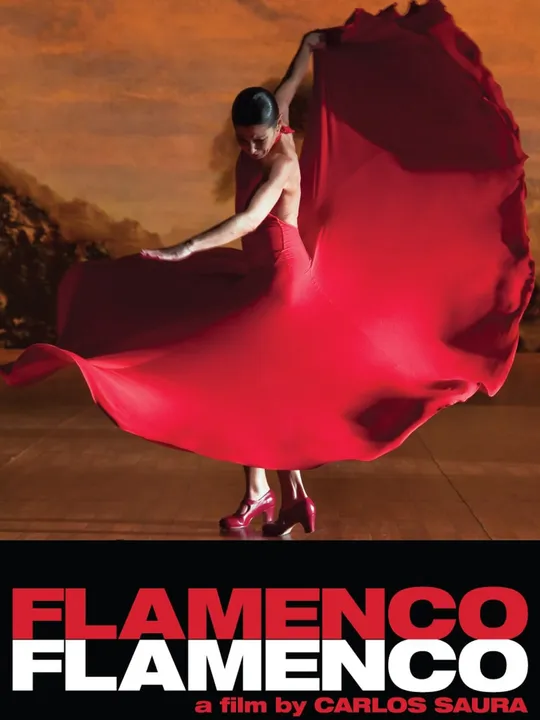 Flamenco, Flamenco