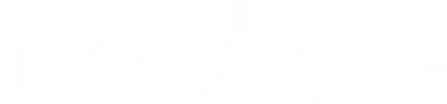 The Last Viking