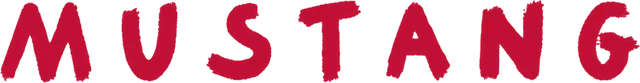 mt-title