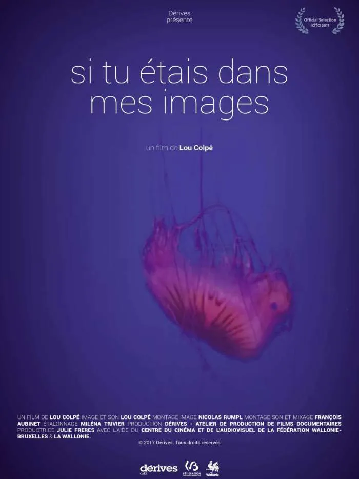 Si tu étais dans mes images