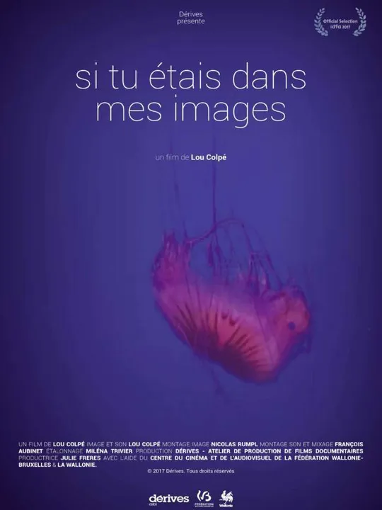 Si tu étais dans mes images