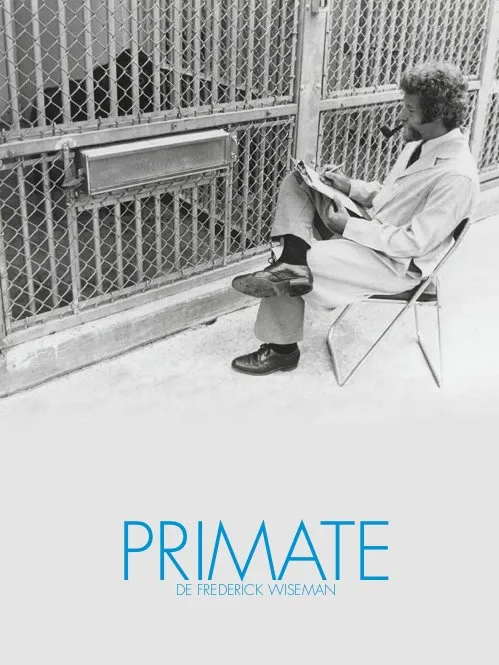 Primate