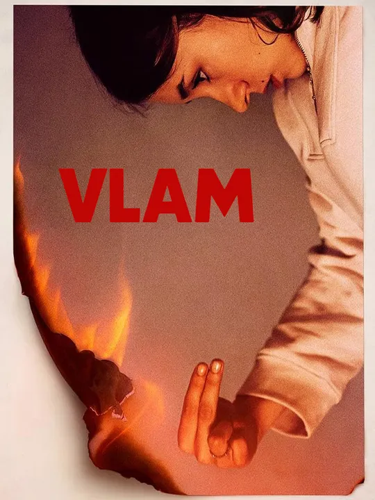 Vlam