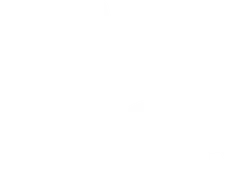 La flor
