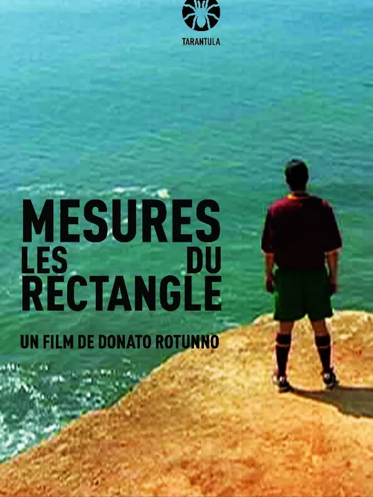 Les mesures du rectangle