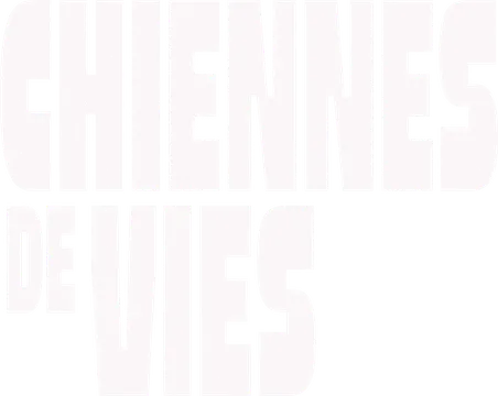 mt-title