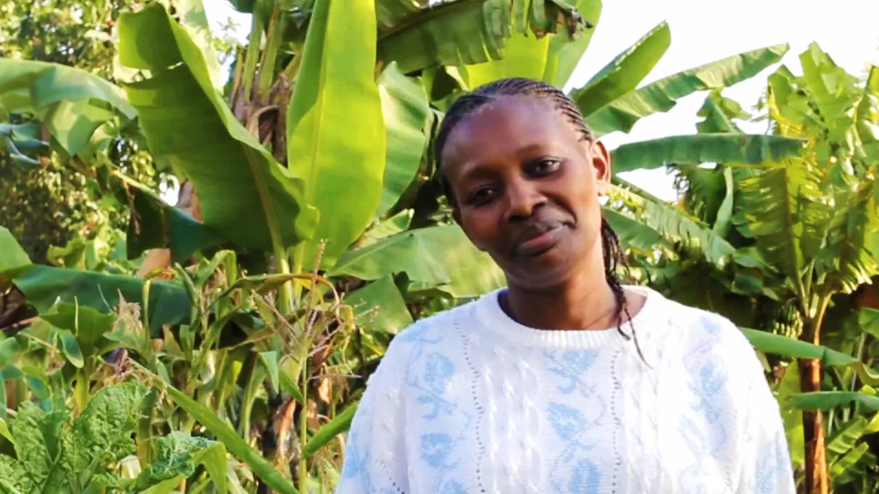Waithira background image