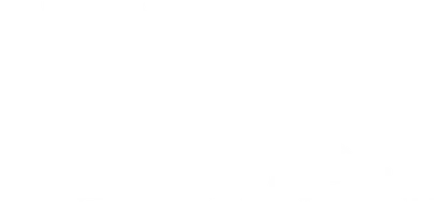 mt-title