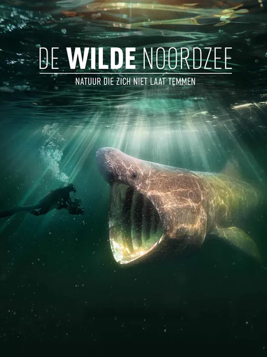 De wilde Noordzee