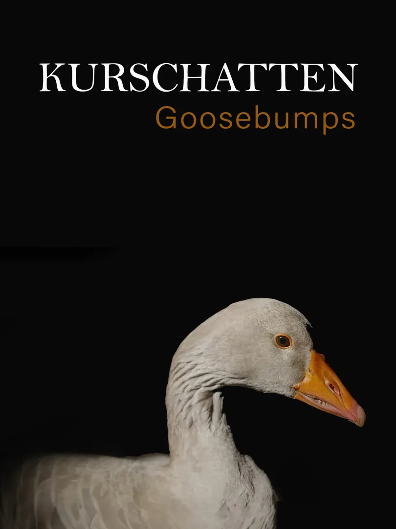 Goosebumps