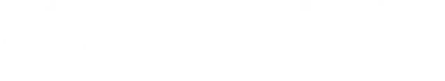 Fotogenico