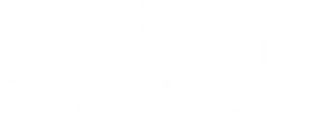 mt-title