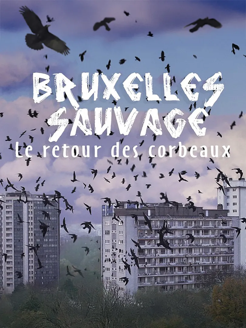 Cover van Bruxelles Sauvage, le retour des corbeaux