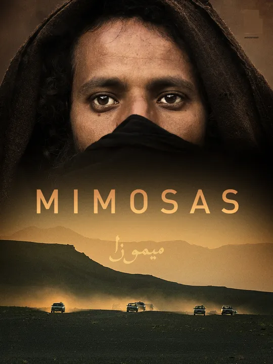 Mimosas