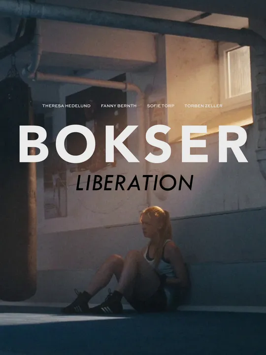 Bokser