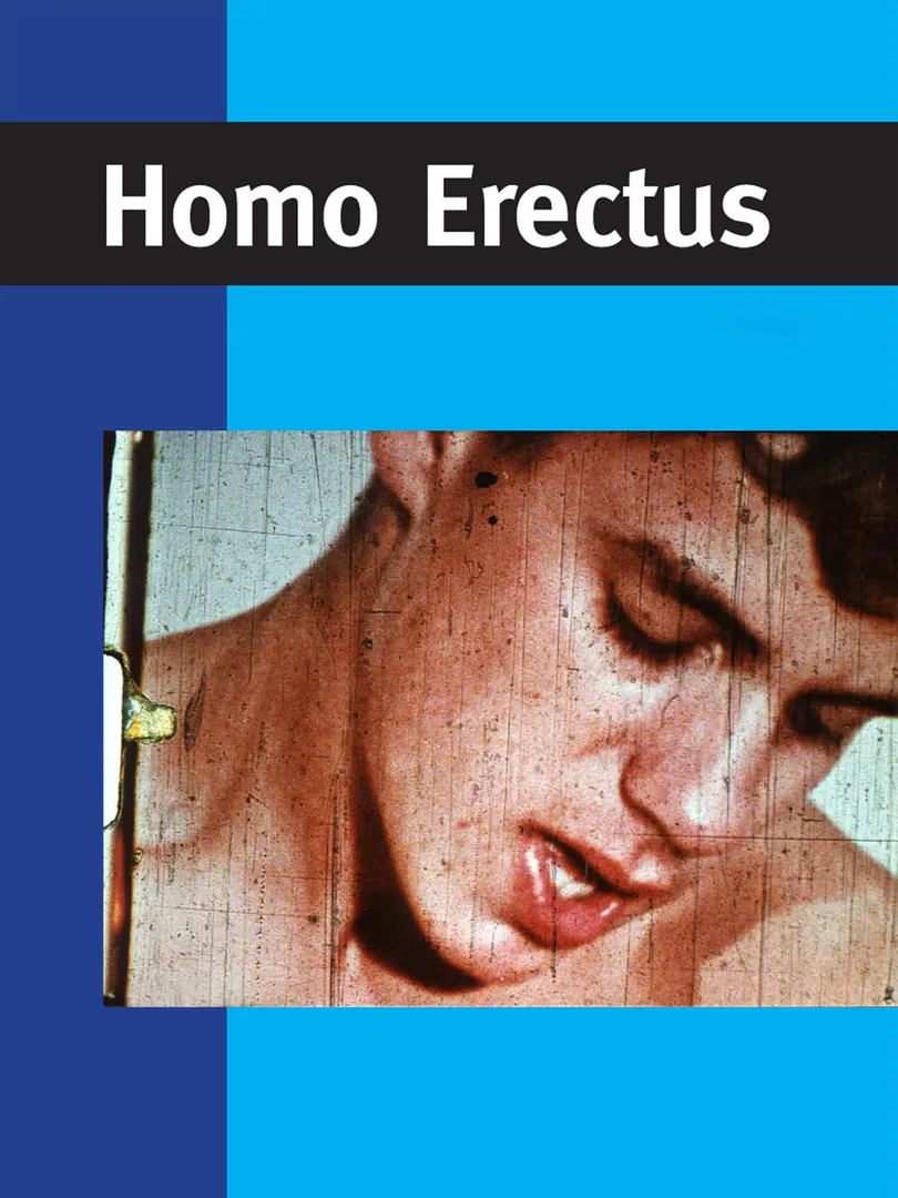 Homo Erectus