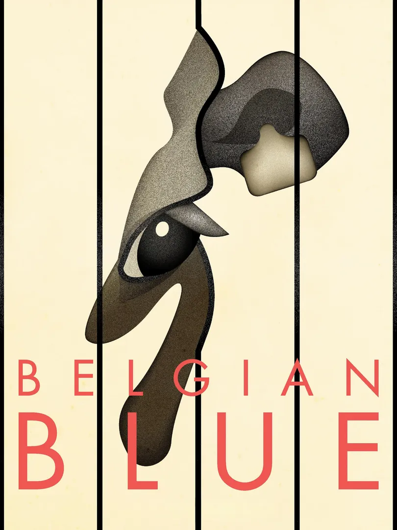 Belgian Blue