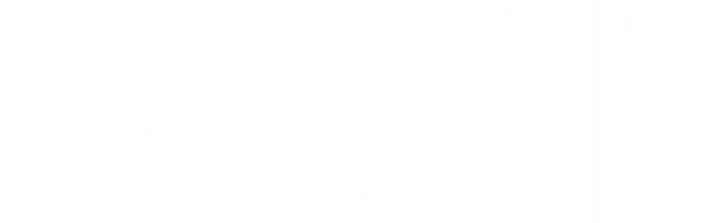mt-title