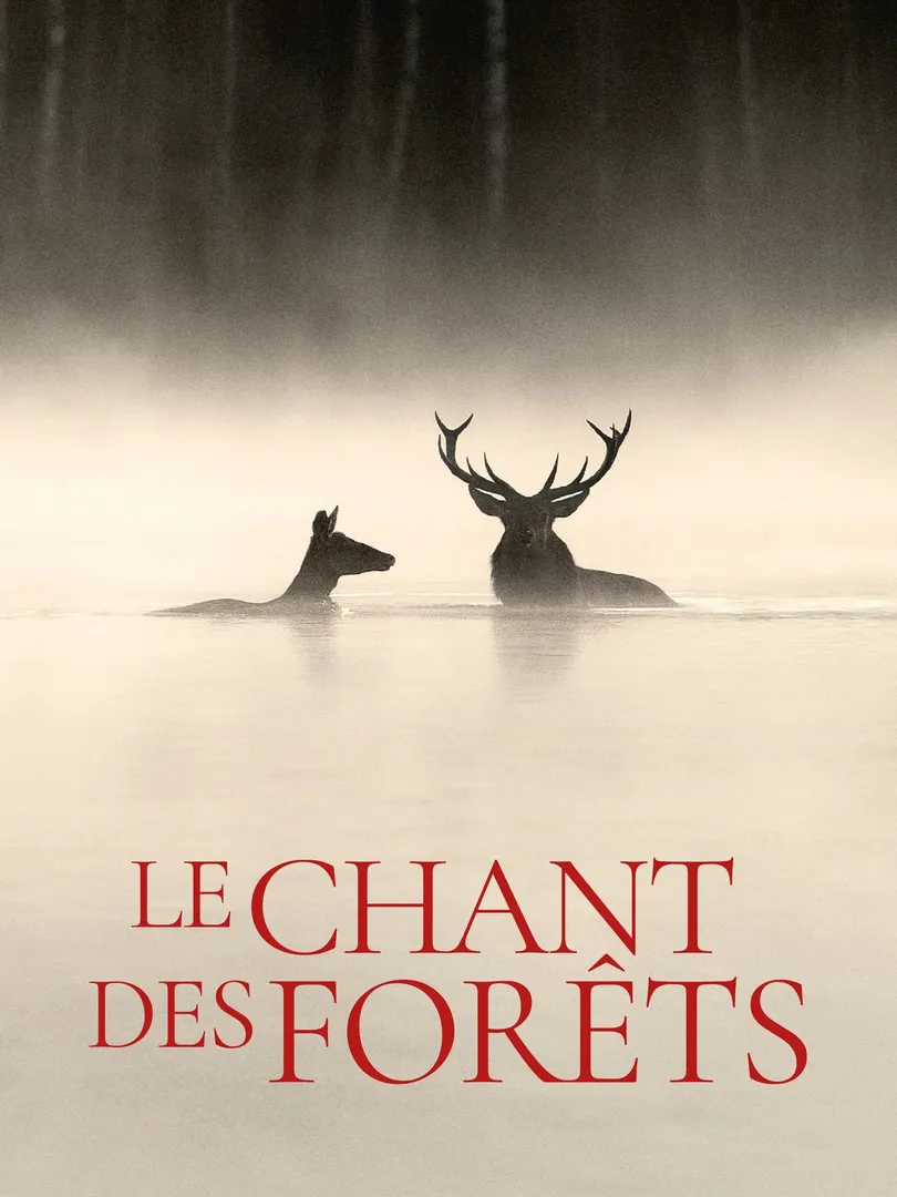 Le chant des forêts