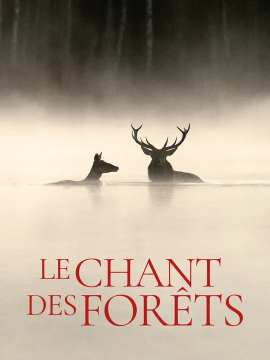 Le Chant des Forêts