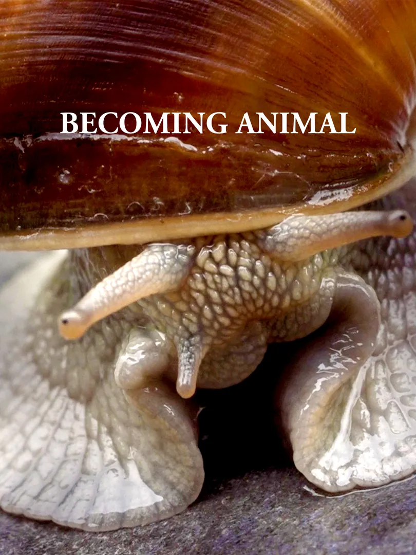 Becoming Animal