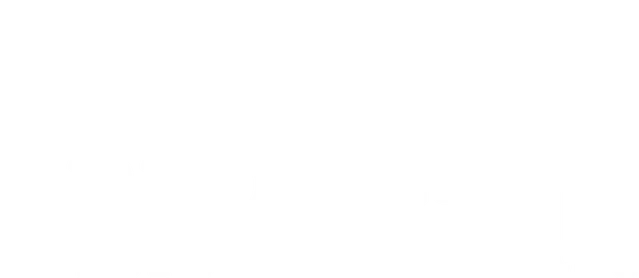 mt-title