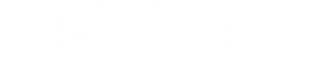 mt-title