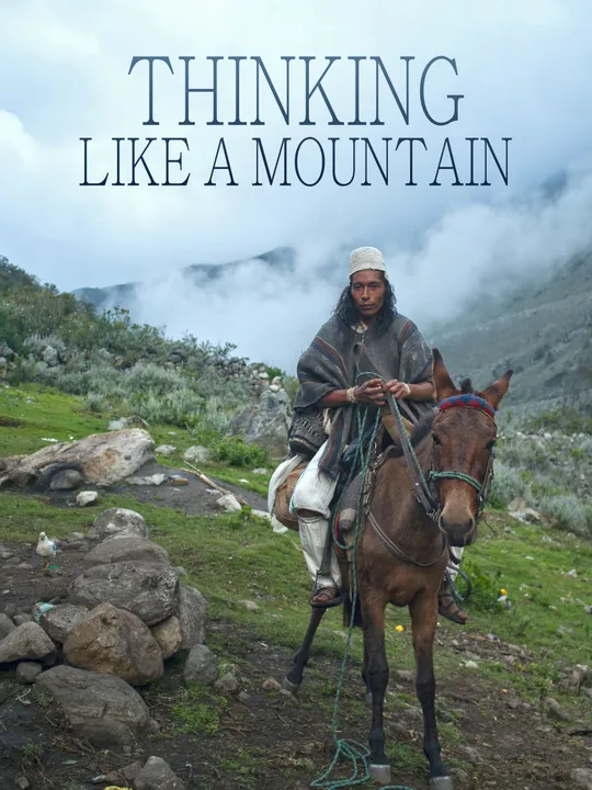 Thinking Like a Mountain