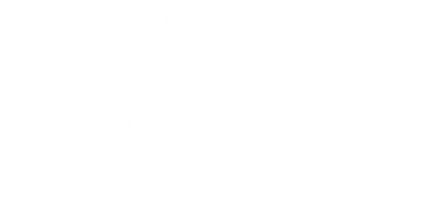 mt-title